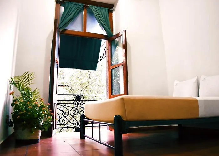 Mexico City Hostel
