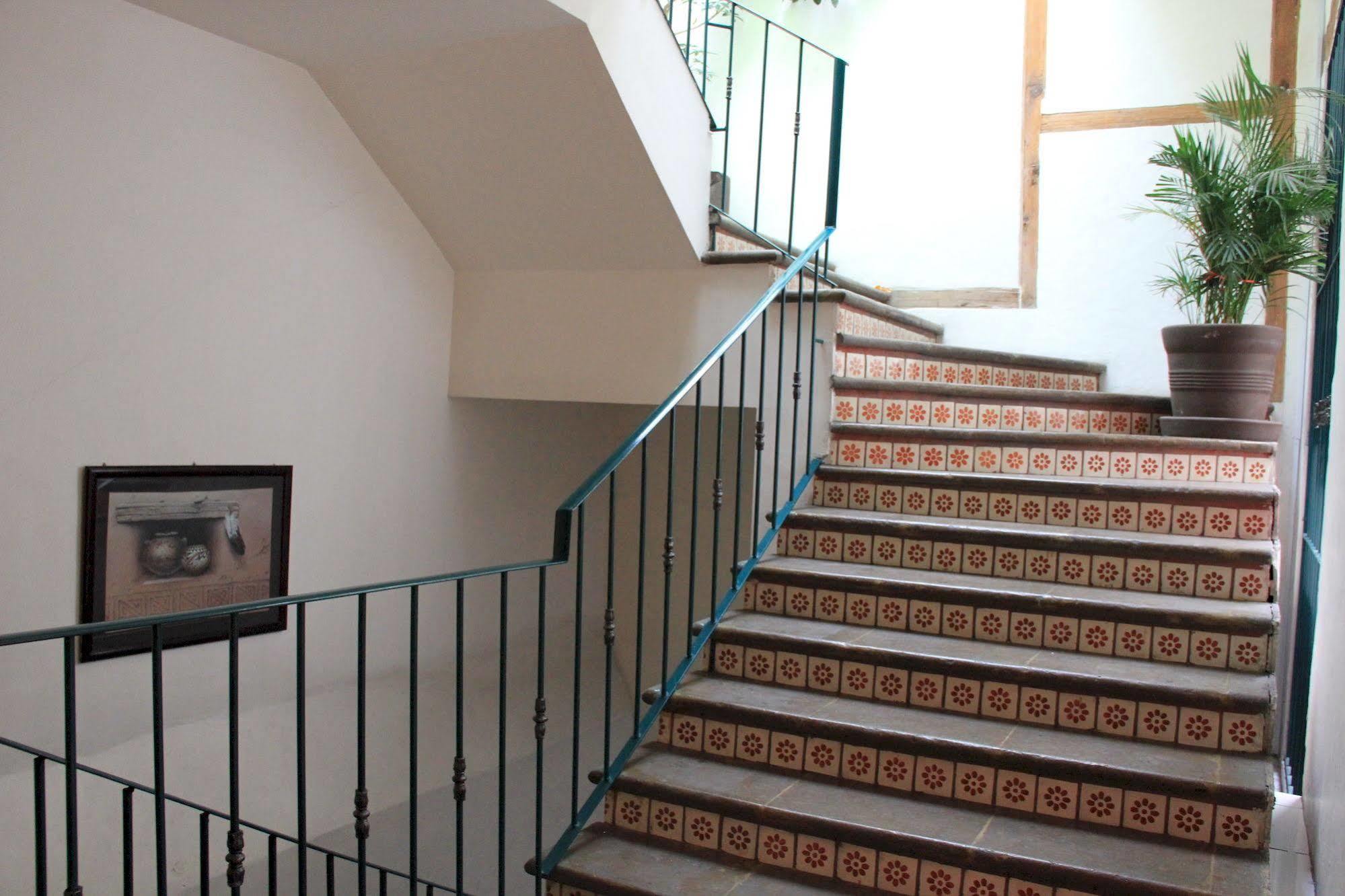 Mexico City Hostel *